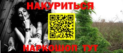 сатива Бузулук